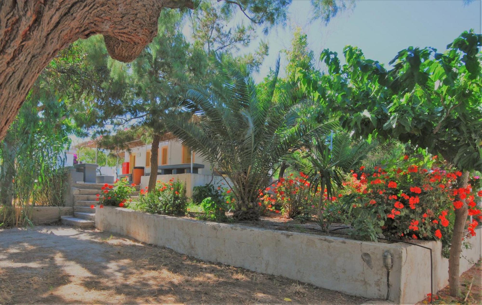 Santorini Camping & Hostel Фира Екстериор снимка