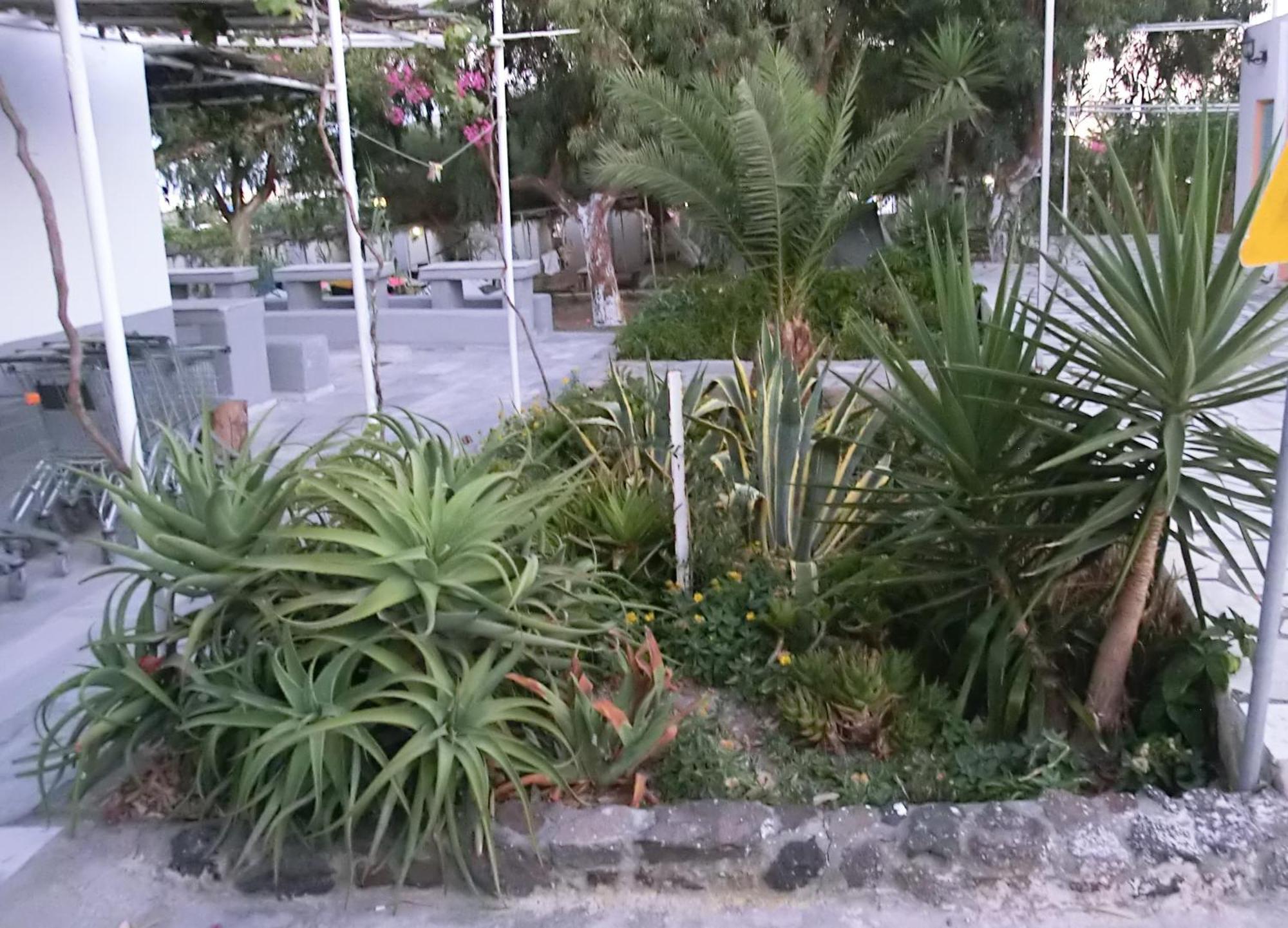 Santorini Camping & Hostel Фира Екстериор снимка